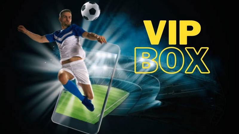 Pros And Cons Of Vipbox 